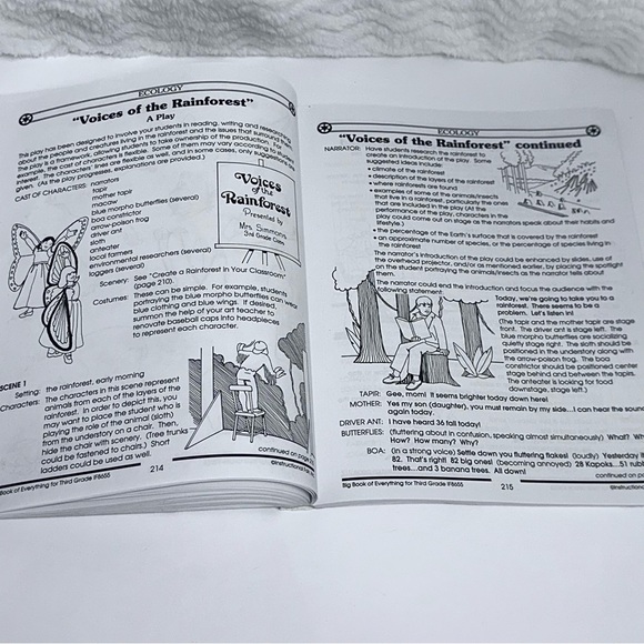 BIG BOOK OF EVERYTHING GRADE 3 By Ada Frischer/Elizabeth Tanzi Teacher Resource - Picture 16 of 16